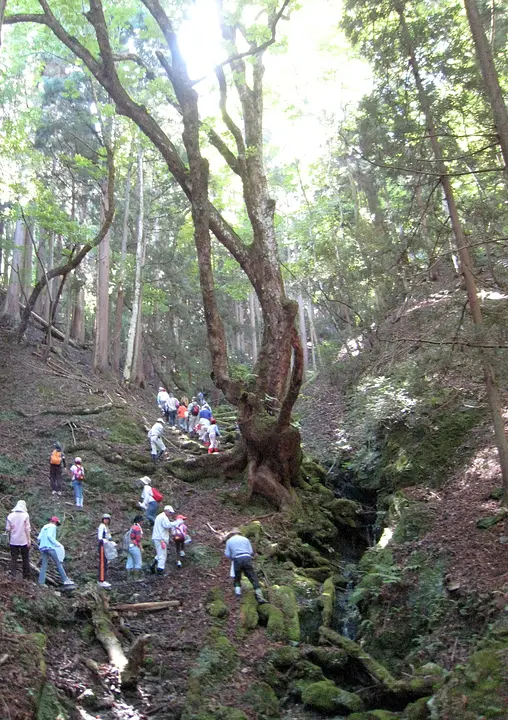 秋 睦寄町古屋 栃の実拾い 000011 11回 H23.jpg