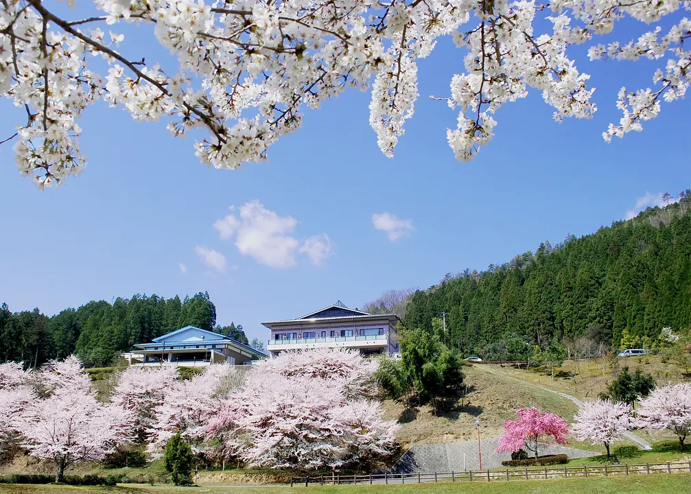 春 睦寄町 あやべ温泉.jpg